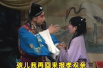 弃官寻母第二集下载