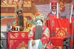 大红袍 12
