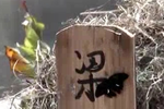 梁山伯下载
