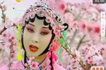 秦腔折子戏精选合集
