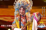 大拜寿 选段
