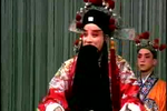 铡美案闯宫