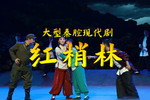 红梢林 全集下载