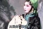 足如灌铅步难举 选段