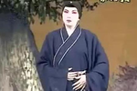 我儿已经三十零 选段
