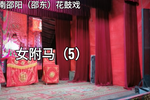 女驸马 5