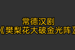 樊梨花大破金光阵下载