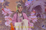 王清明投亲 3下载
