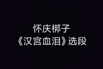 汉宫血泪 选段