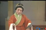 真假驸马 全集
