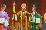 杨门女将 全集