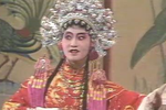 真假驸马姑嫂洞房