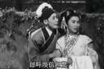 画中天仙下载