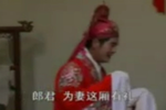 苦瓜记 1