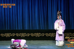 运城市蒲剧团优秀青年演员折子戏专场五下载