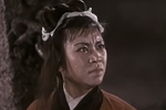 窦娥冤下载