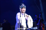 玲珑女写状/红色的种子南湖来/珍珠塔哭塔/双推磨黄昏敲过一更鼓/窦娥冤法场/玉蜻蜓庵堂认母