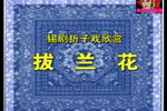 拔兰花下载