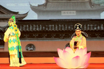 玉蜻蜓下载