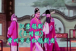 玉蜻蜓 全集