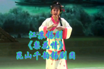 梨花情 全集