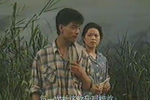难咽的苦果
