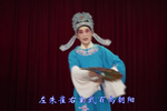 梁祝山伯访友 选段