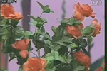 蝶恋花 选段