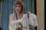 水冰心抗婚 选段