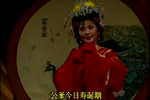打金枝下载