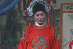 呆子驸马 全集