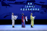 杀狗记 全集下载