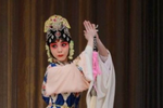 临川四梦之紫钗记