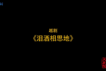 泪洒相思地 全集
