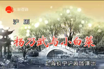 杨乃武与小白菜 全集