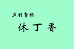 休丁香下载
