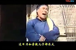 丑女婿下载