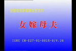 女嫁母夫 全集下载