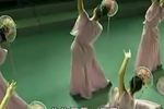 游园惊梦
