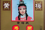 黄梅戏马兰表演专辑 01