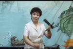琴书叠字板海瑞被困江宁 王道兰演唱