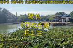 罗通扫北 三下载