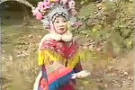 三请樊梨花 第八集