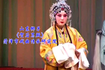 贺后骂殿下载