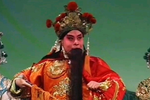 杨八姐游春 选段下载