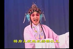 胡金婵洞房花烛下载