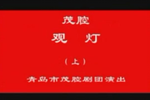 山东青岛赵美蓉观灯 上