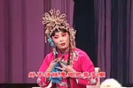 花为媒