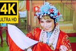 花为媒下载