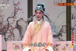 桃花庵 全集